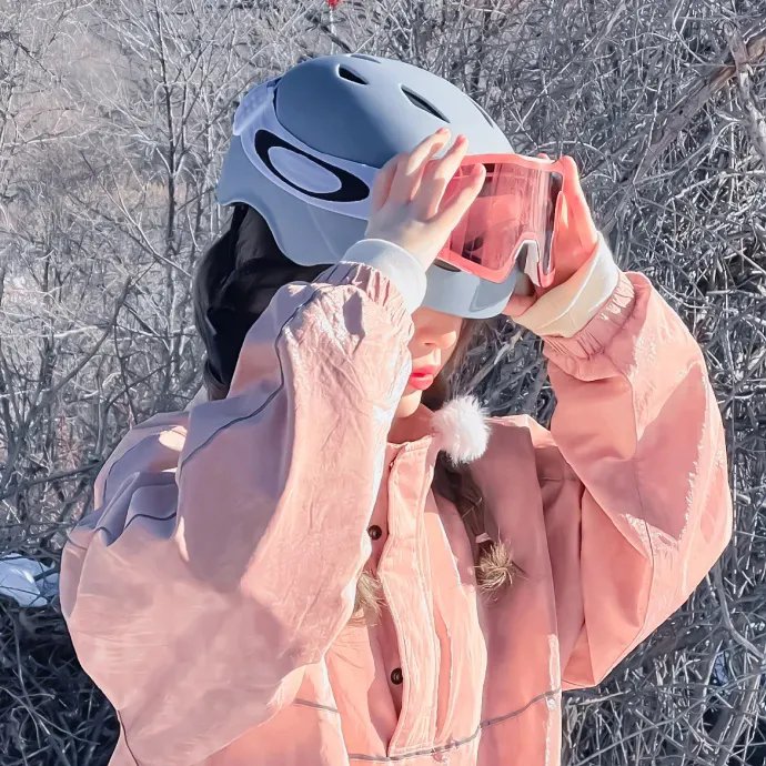 夫人她带刺归来